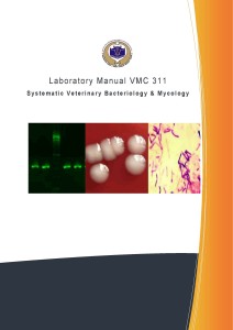 Cover Design Laboratory Manual VMC 311ORG