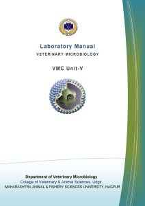 Cover Design Laboratory Manual First 5